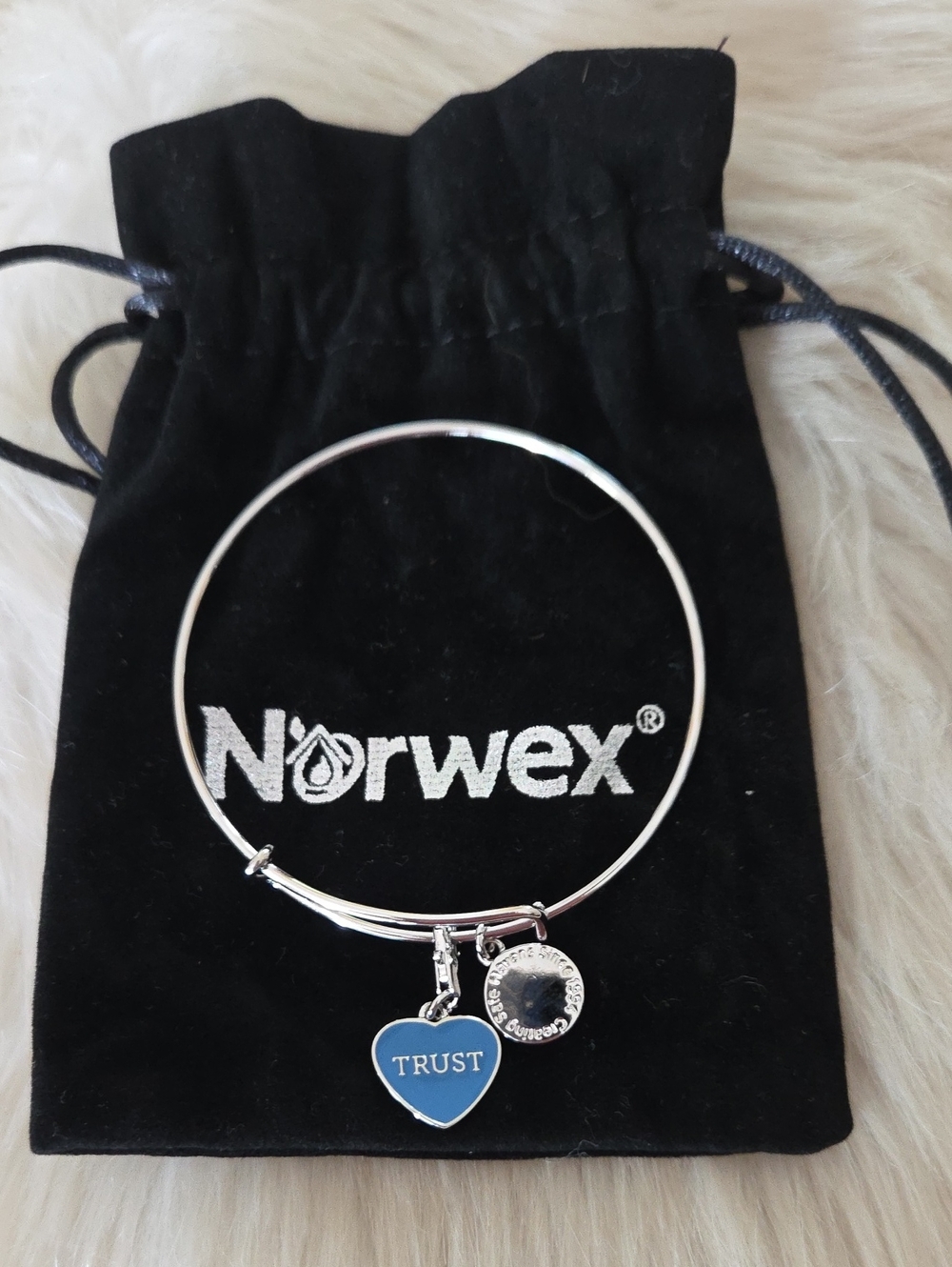 Norwex Silver-Tone Bangle Bracelet 'Trust' Charm